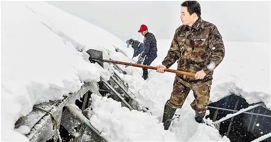  萨勒尼塔纳雪夜苦练，寒冬备战提升保级士气  